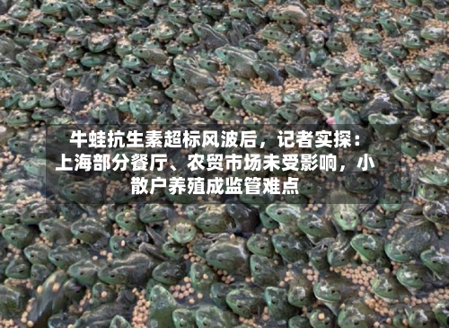 牛蛙抗生素超标风波后，记者实探：上海部分餐厅	、农贸市场未受影响，小散户养殖成监管难点-第3张图片