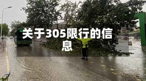关于305限行的信息-第1张图片