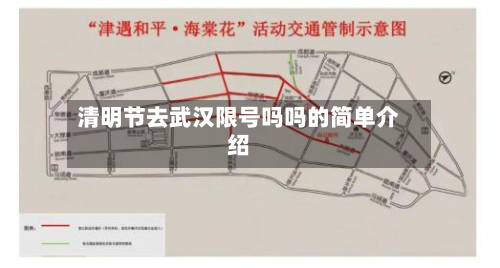 清明节去武汉限号吗吗的简单介绍-第1张图片
