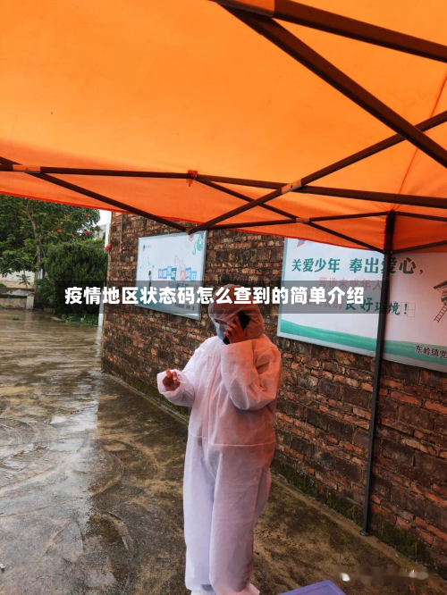 疫情地区状态码怎么查到的简单介绍-第1张图片