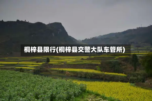 桐梓县限行(桐梓县交警大队车管所)-第1张图片