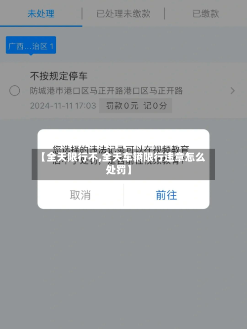 【全天限行不,全天车辆限行违章怎么处罚】-第1张图片