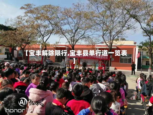 【宝丰解除限行,宝丰县单行道一览表】-第1张图片