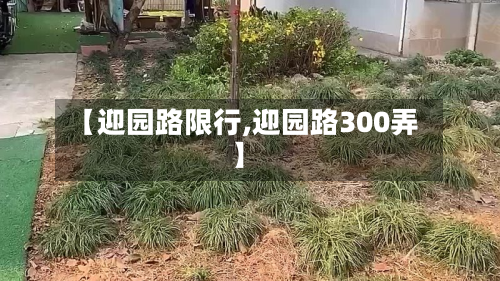【迎园路限行,迎园路300弄】-第1张图片