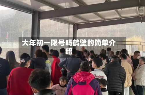 大年初一限号吗鹤壁的简单介绍-第1张图片