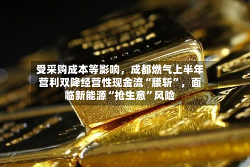 受采购成本等影响，成都燃气上半年营利双降经营性现金流“腰斩”，面临新能源“抢生意	”风险-第2张图片