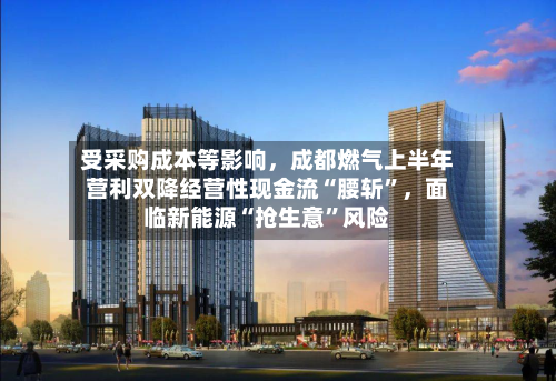受采购成本等影响，成都燃气上半年营利双降经营性现金流“腰斩”	，面临新能源“抢生意”风险-第3张图片