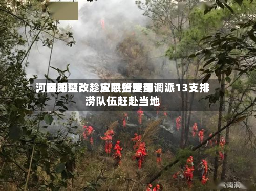 河南周口：趁灾哄抬费用，立即整改！应急管理部调派13支排涝队伍赶赴当地-第2张图片