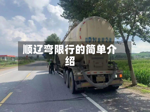 顺辽弯限行的简单介绍-第1张图片