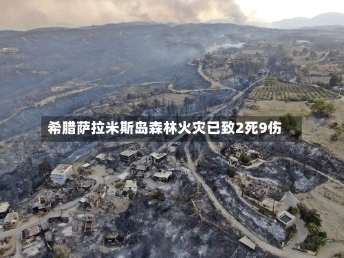 希腊萨拉米斯岛森林火灾已致2死9伤-第1张图片