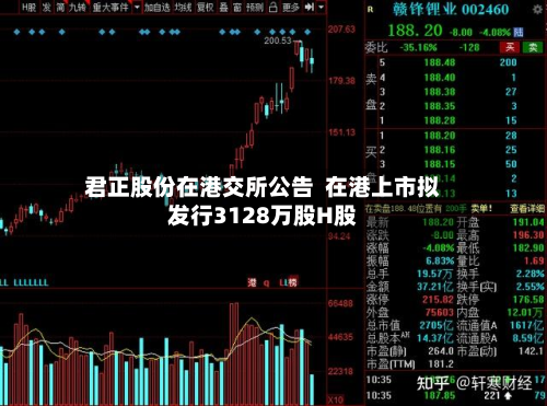 君正股份在港交所公告 在港上市拟发行3128万股H股-第1张图片