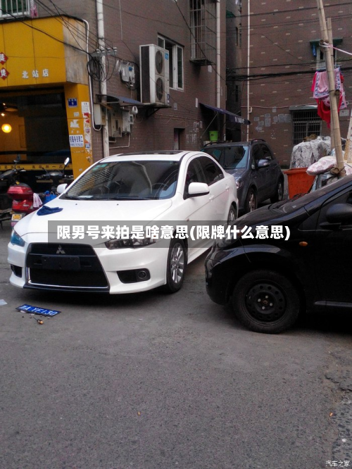 限男号来拍是啥意思(限牌什么意思)-第1张图片