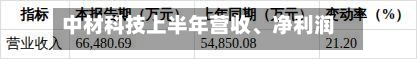 中材科技上半年营收、净利润均增逾20%-第2张图片