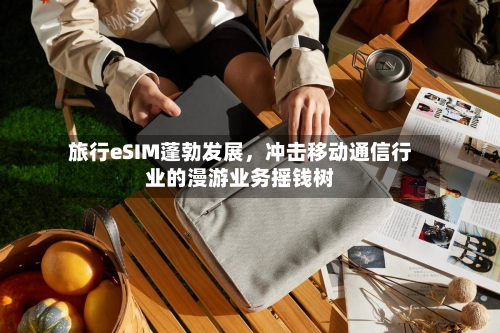 旅行eSIM蓬勃发展，冲击移动通信行业的漫游业务摇钱树-第2张图片