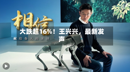 大跌超16%！王兴兴，最新发声-第3张图片