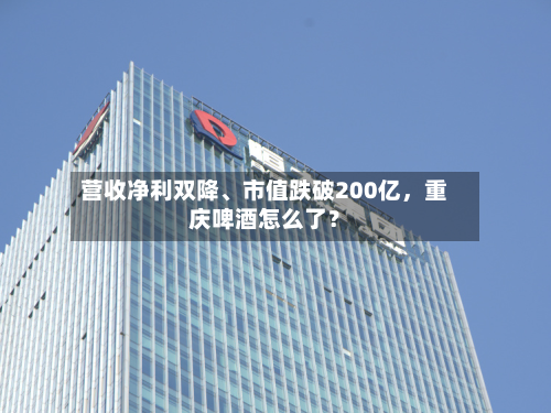 营收净利双降、市值跌破200亿，重庆啤酒怎么了？-第3张图片