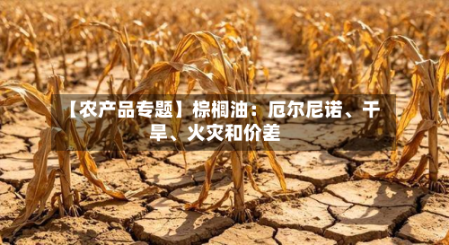 【农产品专题】棕榈油：厄尔尼诺	、干旱、火灾和价差-第1张图片