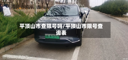 平顶山市查限号吗/平顶山市限号查询表-第1张图片