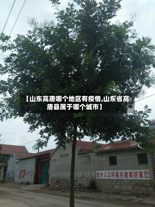 【山东高唐哪个地区有疫情,山东省高唐县属于哪个城市】-第1张图片