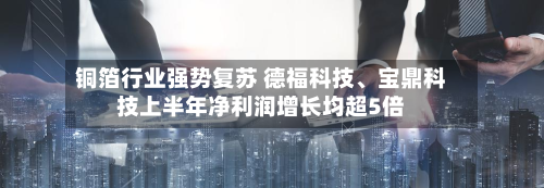 铜箔行业强势复苏 德福科技、宝鼎科技上半年净利润增长均超5倍-第2张图片
