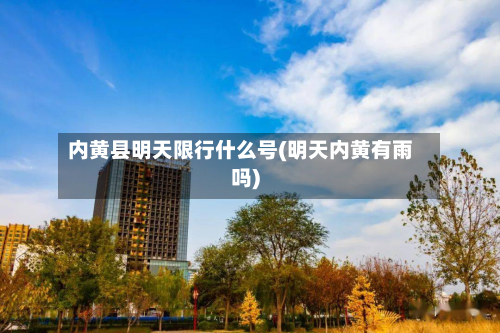 内黄县明天限行什么号(明天内黄有雨吗)-第1张图片