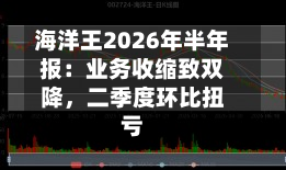 海洋王2026年半年报：业务收缩致双降，二季度环比扭亏-第2张图片
