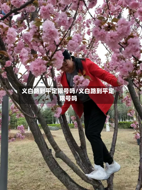 义白路到平定限号吗/义白路到平定限号吗-第1张图片