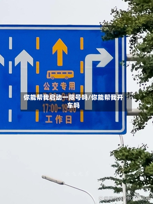 你能帮我启动一限号吗/你能帮我开车吗-第1张图片