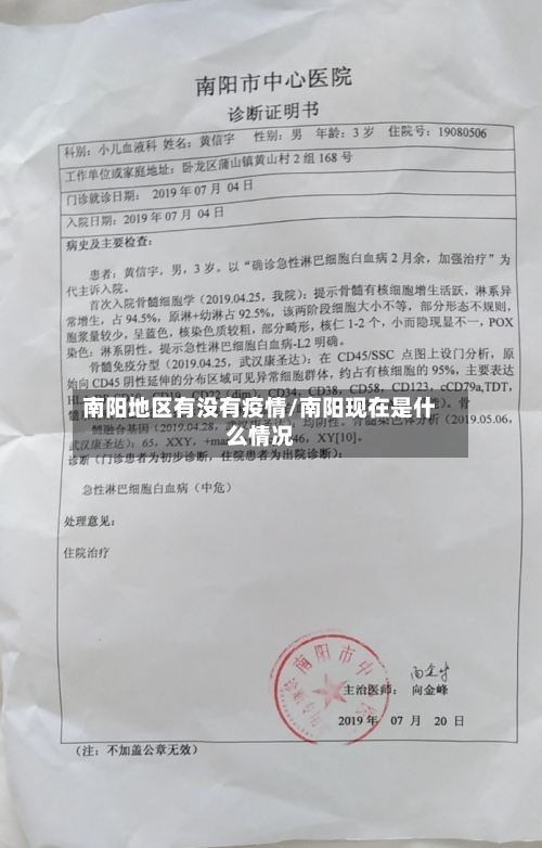 南阳地区有没有疫情/南阳现在是什么情况-第1张图片