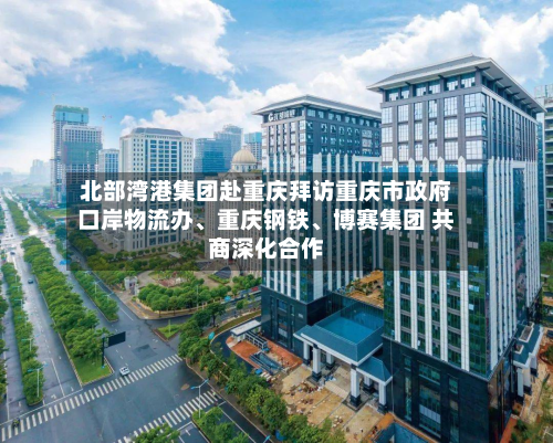 北部湾港集团赴重庆拜访重庆市 *** 口岸物流办、重庆钢铁、博赛集团 共商深化合作