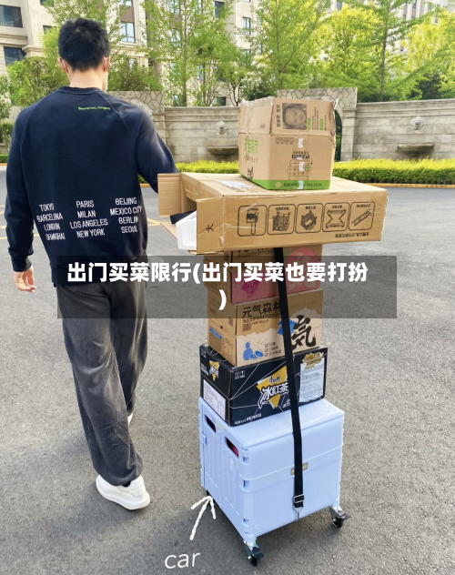 出门买菜限行(出门买菜也要打扮)-第1张图片