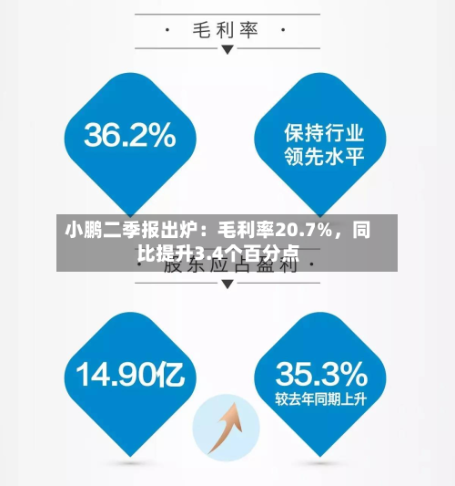 小鹏二季报出炉：毛利率20.7%	，同比提升3.4个百分点-第3张图片