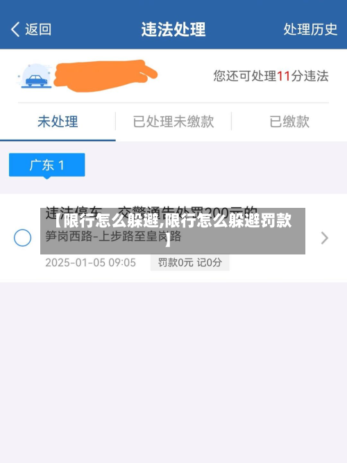 【限行怎么躲避,限行怎么躲避罚款】-第1张图片