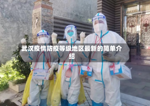 武汉疫情防疫等级地区最新的简单介绍-第1张图片