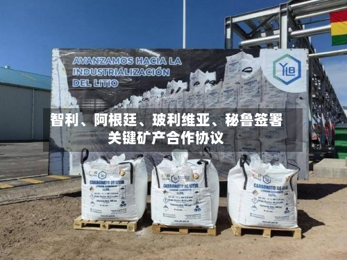智利、阿根廷、玻利维亚	、秘鲁签署关键矿产合作协议-第2张图片