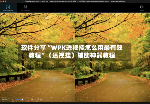 软件分享“WPK透视挂怎么用最有效教程”（透视挂）辅助神器教程-第2张图片