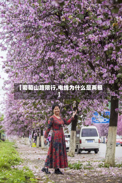 【葡萄山路限行,电线为什么是两根】-第1张图片