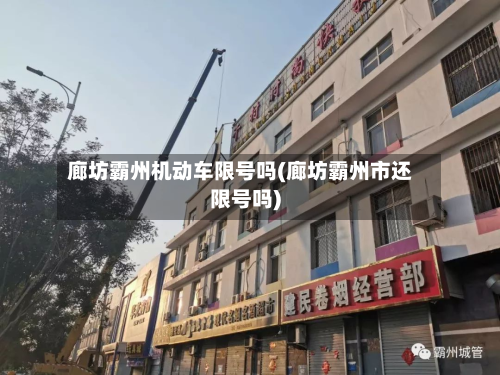 廊坊霸州机动车限号吗(廊坊霸州市还限号吗)-第1张图片