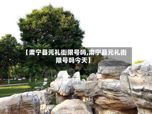 【肃宁县元礼街限号吗,肃宁县元礼街限号吗今天】-第1张图片