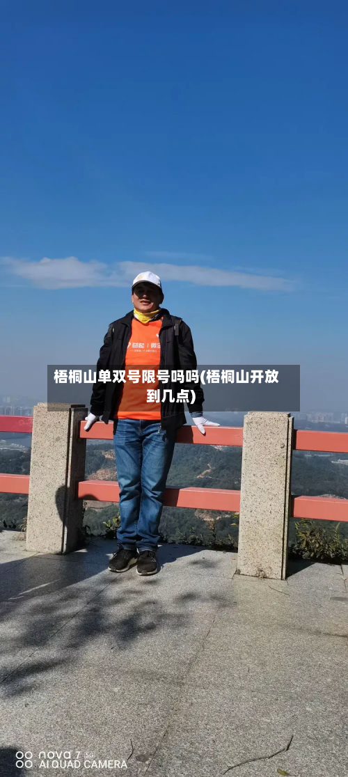 梧桐山单双号限号吗吗(梧桐山开放到几点)-第1张图片