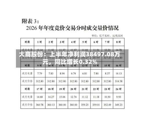 大商股份：上半年净利润38497.08万元，同比增长0.32%-第3张图片