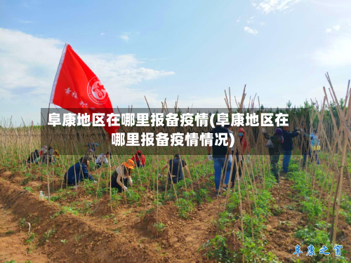 阜康地区在哪里报备疫情(阜康地区在哪里报备疫情情况)-第1张图片