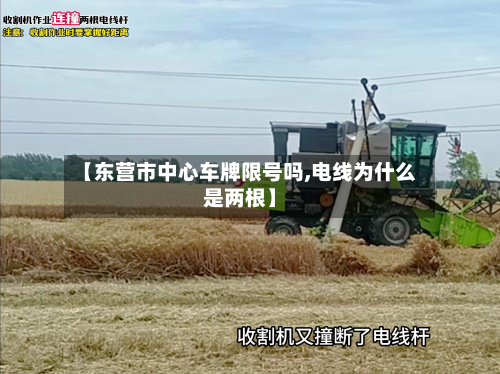 【东营市中心车牌限号吗,电线为什么是两根】-第1张图片