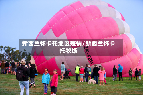 新西兰怀卡托地区疫情/新西兰怀卡托牧场-第1张图片