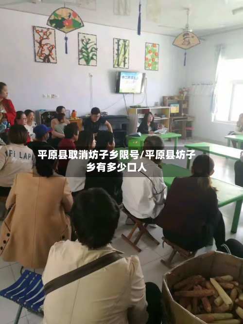 平原县取消坊子乡限号/平原县坊子乡有多少口人-第1张图片