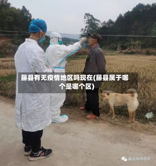 藤县有无疫情地区吗现在(藤县属于哪个是哪个区)-第1张图片