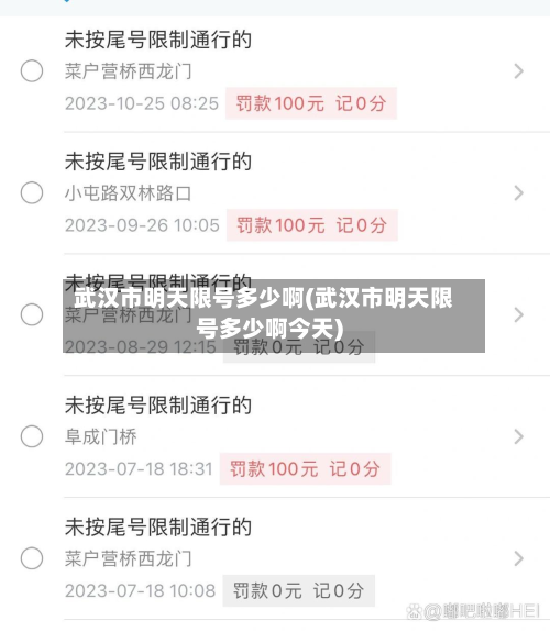 武汉市明天限号多少啊(武汉市明天限号多少啊今天)-第1张图片