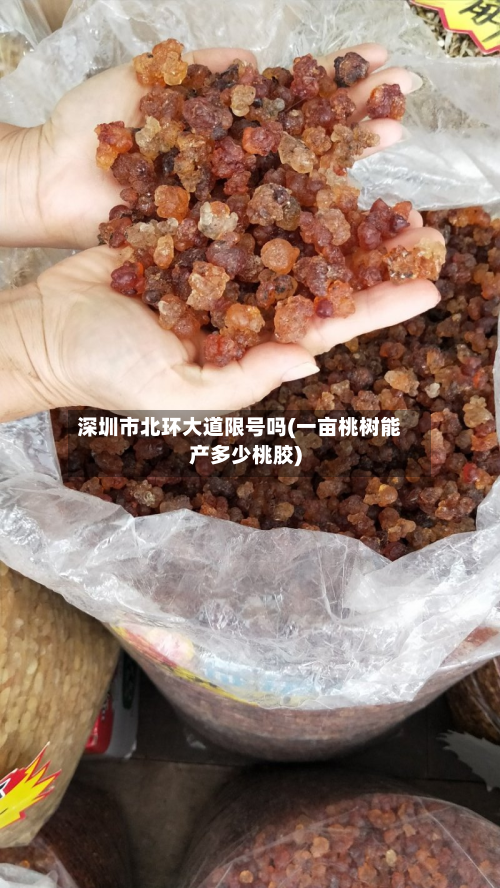 深圳市北环大道限号吗(一亩桃树能产多少桃胶)-第1张图片