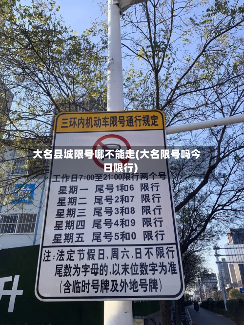 大名县城限号哪不能走(大名限号吗今日限行)-第2张图片
