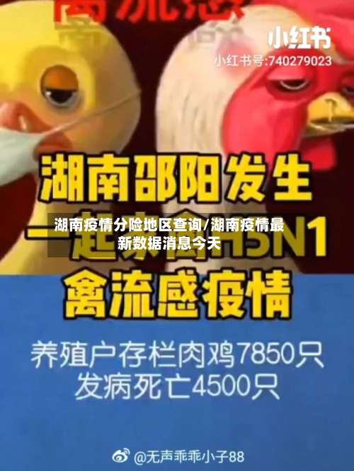 湖南疫情分险地区查询/湖南疫情最新数据消息今天-第1张图片